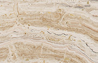 White Traveronyx