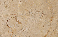 Bianco Perlato marble(M)