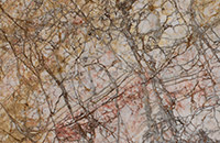 Autumn Leaves
